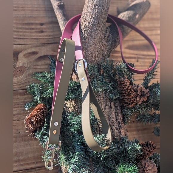 Biothane Leash - Picture 1 of 1
